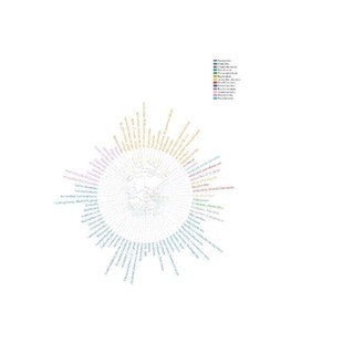 帮微生物16s宏基因组细菌基因组进化次级代谢基因簇蛋白分子对接