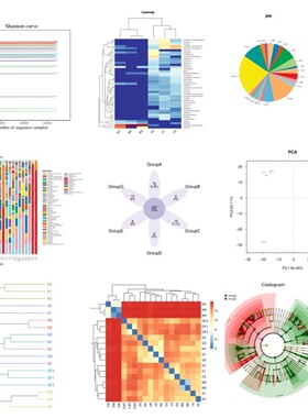 生信分析高分定制服务单细胞空间转录组分析结合深度学习AI算法