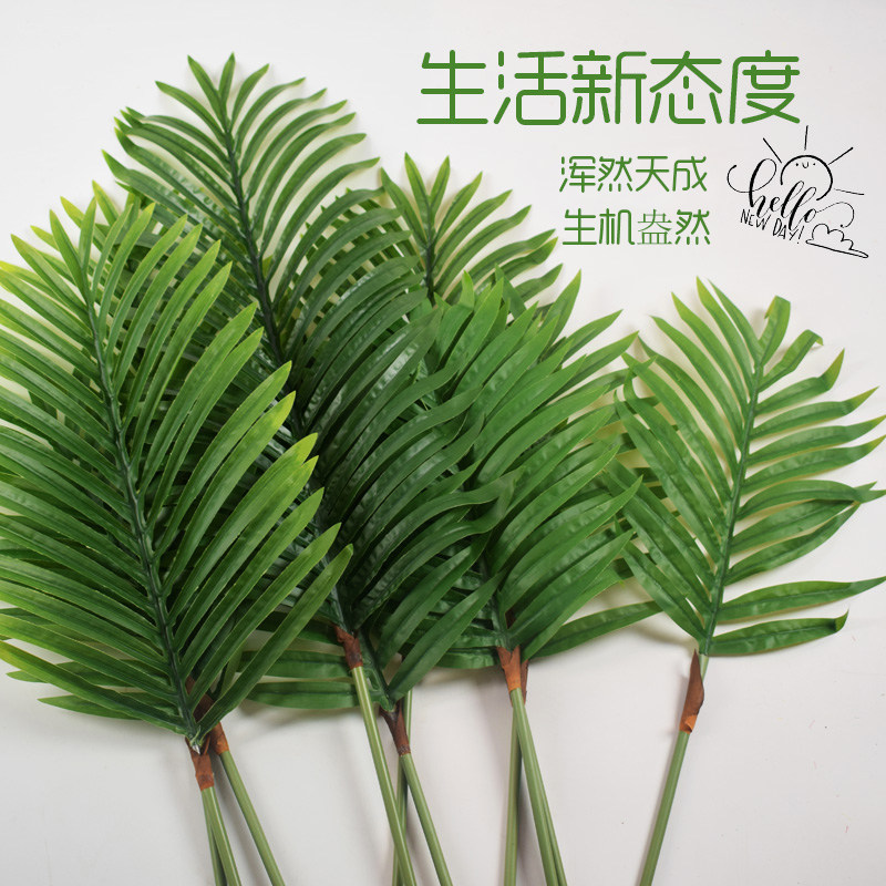 仿真铁树叶假叶子绿植插花植物墙装饰草散尾叶橱窗装饰室内布置