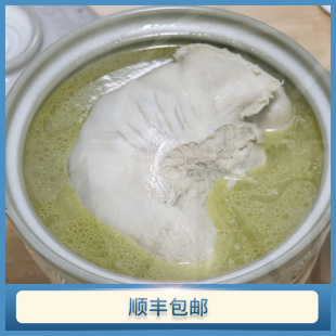 【先看详情页售后要求】猪肚河田鸡 1250g 需加水久煮 猪肚包鸡块
