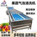 果蔬气泡喷淋清洗机商用小龙虾清洗机净菜加工设备清洗风干流水线