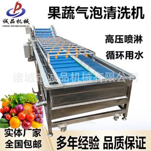 果蔬氣泡噴淋清洗機商用小龍蝦清洗機凈菜加工設備清洗風干流水線