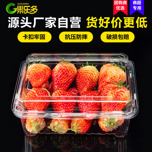 果乐多一次性水果盒塑料打包盒