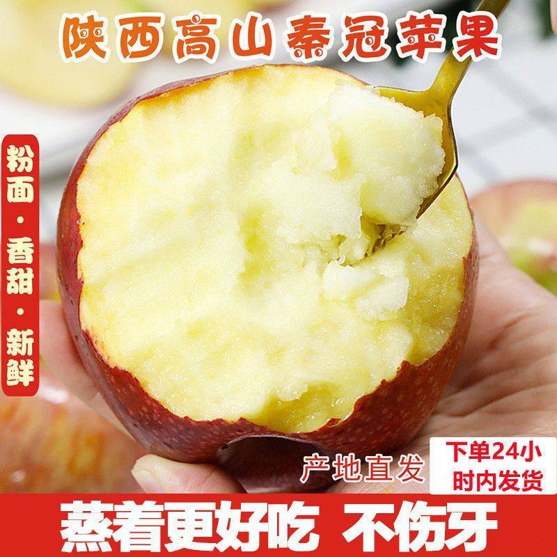 陕西正宗秦冠冰糖苹果粉面宝宝老人沙甜刮泥新鲜水果整箱批发包邮