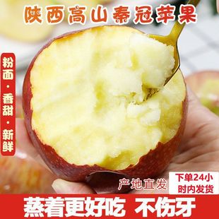 陕西正宗秦冠冰糖苹果粉面宝宝老人沙甜刮泥新鲜水果整箱批发包邮