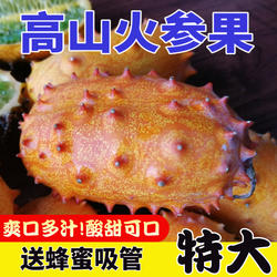 火参果新鲜8个大果 火星果 非洲刺角瓜孕妇水果 灭霸水果同款海参
