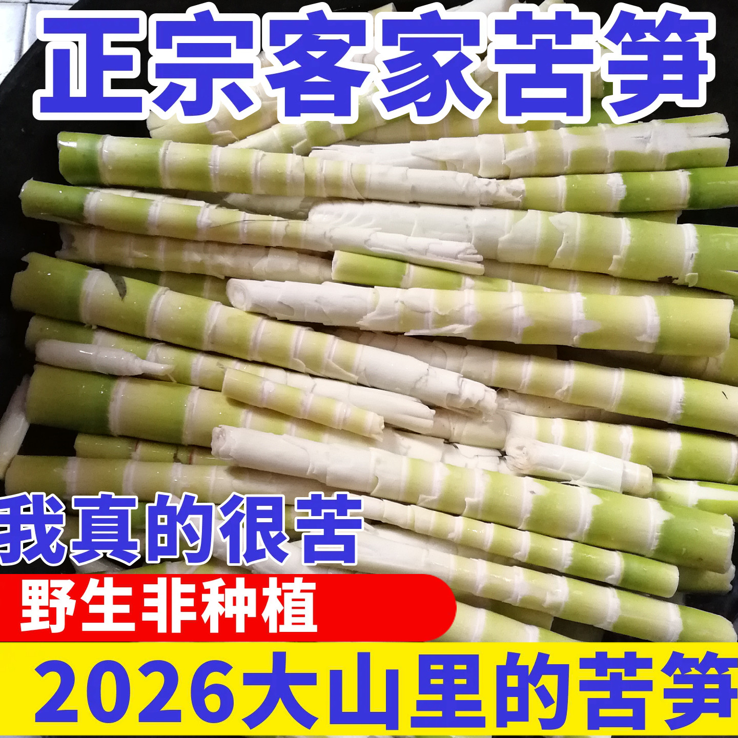新鲜野生苦笋客家特产竹笋春笋广东江西福建苦竹笋现挖现发包邮