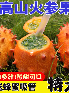 新鲜火参果灭霸水果现摘现发