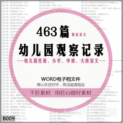 B009托班大班中班小班幼儿园观察记录范文自主游戏区域活动电子版