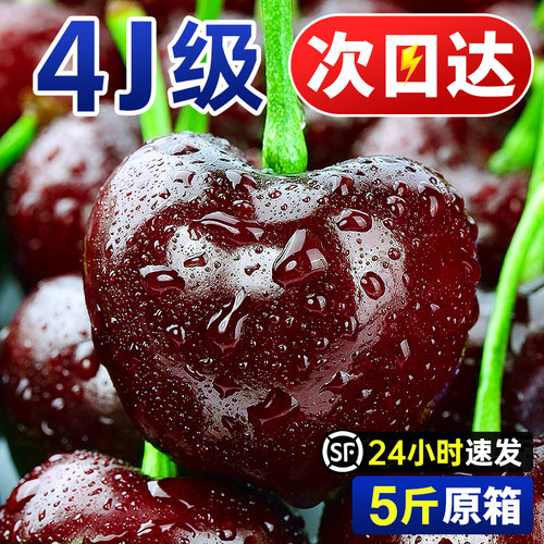 美国车厘子进口当季新鲜礼盒包邮