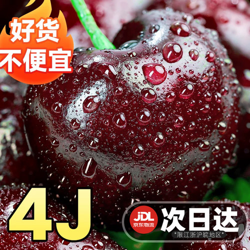 美早大樱桃新鲜水果2/3/4/5j