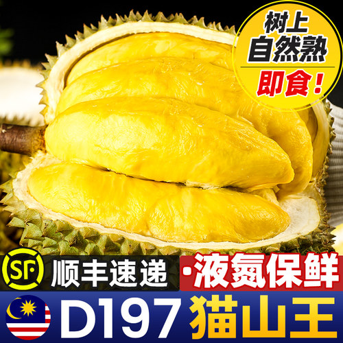 伊人之佳糯甜液氮猫山王榴莲
