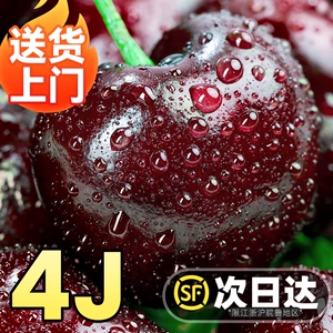 [美国车厘子5斤礼盒装新鲜水果当季顺丰包邮进口大樱桃孕妇3J4J5J]