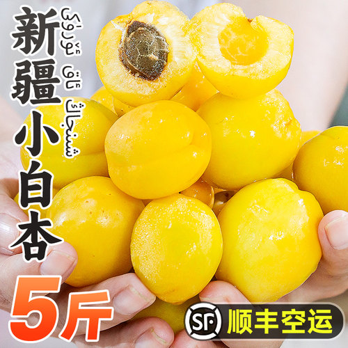 伊人之佳新疆小白杏顺丰包邮
