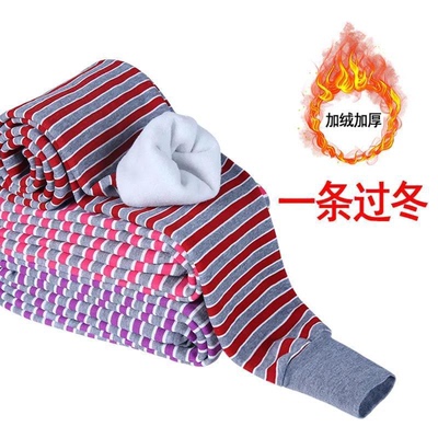 女士保暖裤加绒秋裤加厚棉毛裤高弹内穿打底裤热能裤单件绒裤棉奶