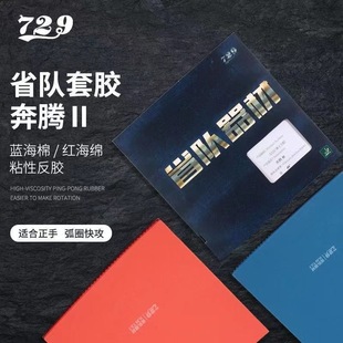 正品友谊729奔腾2省队器材蓝海绵乒乓球拍胶皮套胶省套反胶粘性
