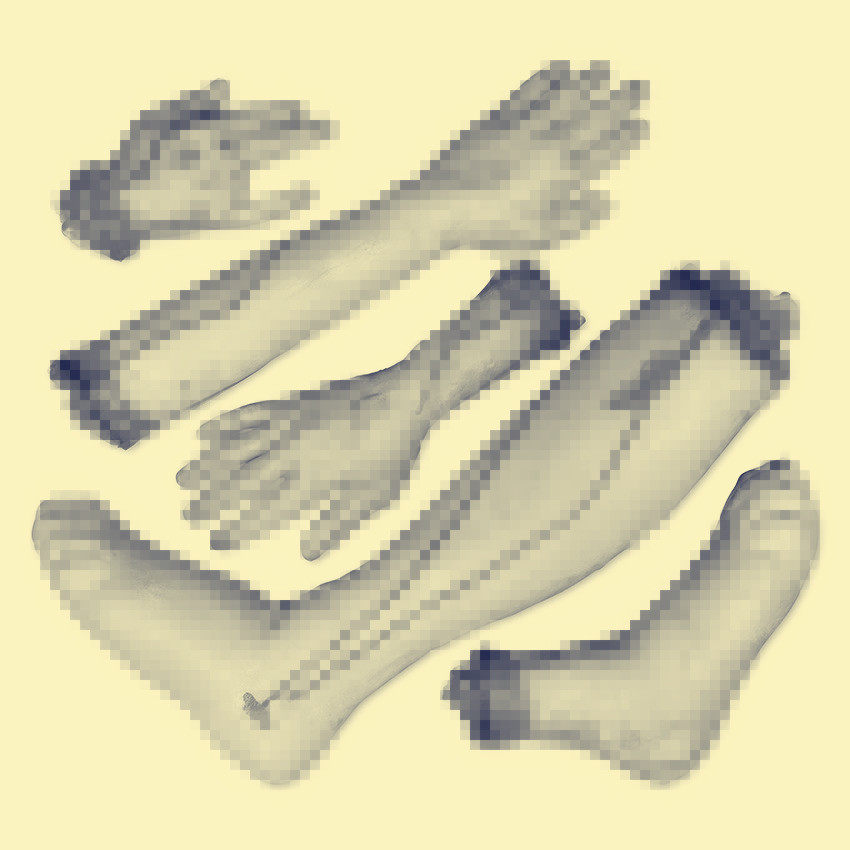 万圣节恐怖道具鬼屋影视剧装饰心脏仿真器官模型假肢血手断手断脚