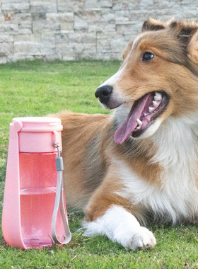 狗狗户外便携折叠杯随行水杯遛狗水壶猫咪饮水器自动饮水宠物用品