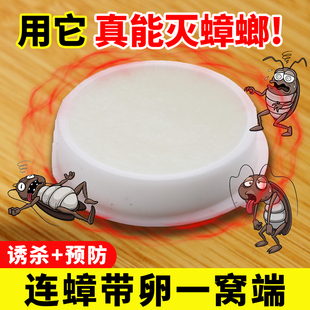 灭蟑螂神器出租屋家用一窝端蟑螂饵挤克星方便贴 强效蟑螂药加强版