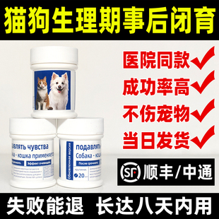 母狗事配后母猫长避效紧及急流浪猫狗交配狗孕避蕴土狗发情生理期