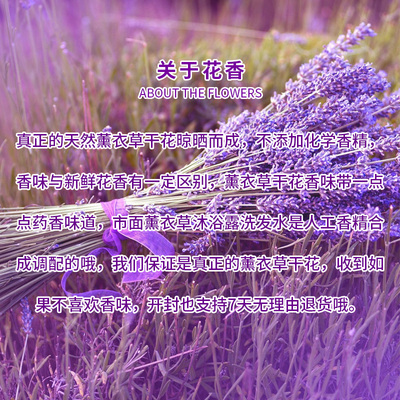 速发薰衣草干花粒熏衣草干花散装衣柜香薰汽车香包枕头新疆