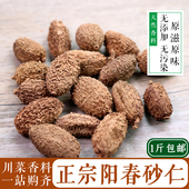 中药材天然香料 阳春砂仁 火锅卤料香辛料 砂仁 调料 毛砂仁