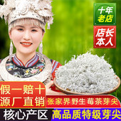 莓茶张家界特级芽尖土家永顺嫩梅茶霉茶正宗藤茶武湘坊官方旗舰店