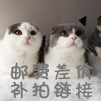 【神咪嘻嘻】万能链接补差价其他产品等 拍这里啥都有 都是特价！