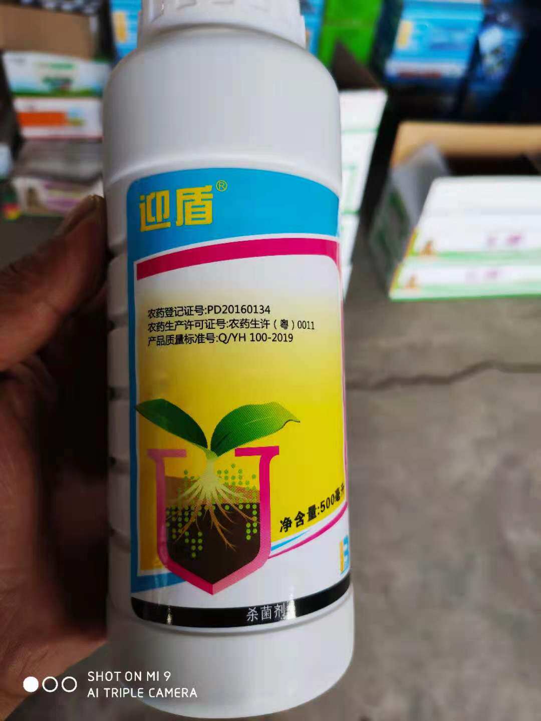 精甲霜灵咯菌腈嘧菌酯枯萎病大姜茎基腐病根腐病拌种剂种衣剂农药