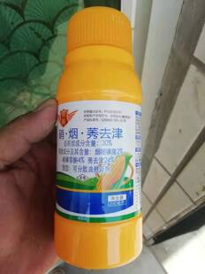 烟硝莠玉米苗后除草剂烟嘧磺隆硝磺草酮莠去津阿特拉津苗期除草剂