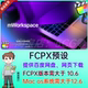 FCPX插件 mWorkspace 素文字标题转场动画 83个简约时尚 视频编辑元