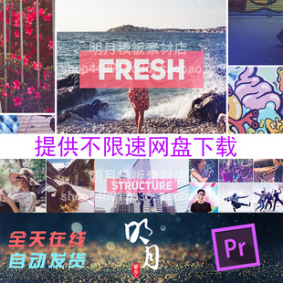 Premiere动感时尚宣传表白旅行浪漫VLOG毕业剪辑相册视频PR模板