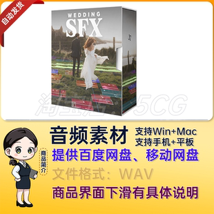音效-116个婚礼MV电影视频制作环境氛围拟声过渡无损音效婚庆音乐