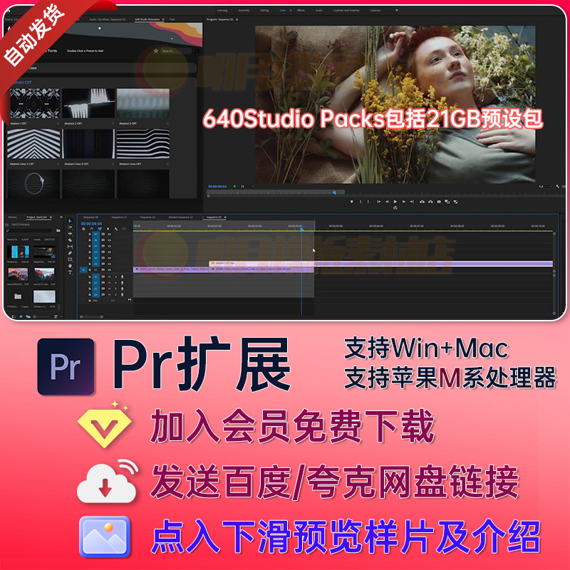 Pr扩展脚本640Studio Packs预设640 Studio转场文字动画调色VHS