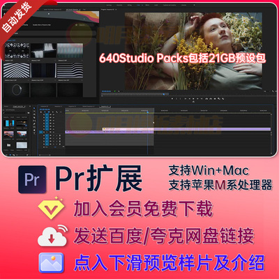 Pr扩展脚本640Studio Packs 预设640 Studio转场文字动画调色VHS