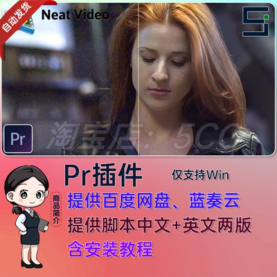 Win中文汉化PR插件-专业视频降噪插件 Neat Video Pro V6.0.5