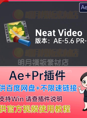 PR/AE插件-专业视频去噪降噪插件 Reduce Noise V5  WIN