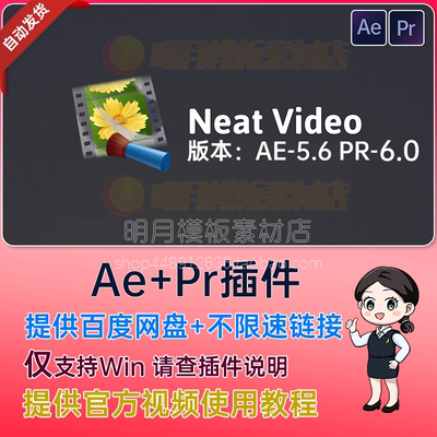 PR/AE插件-专业视频去噪降噪插件 Reduce Noise V5  WIN