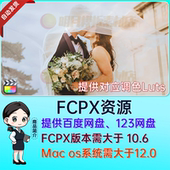 mWedding梦幻优雅婚礼标题字幕动画排版 转场FCPX插件调色LUTs