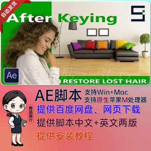 中文汉化AE绿幕抠像边缘处理优化辅助脚本 After Keying V1.05