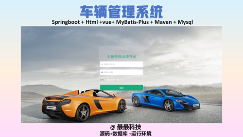 SpringBoot vue车辆管理系统 java源码带数据库带万字文档