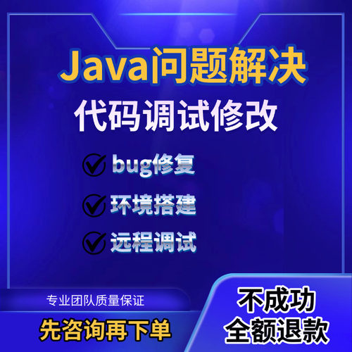 java问题解决代码编写接单程序代做springboot vue maven  mysql