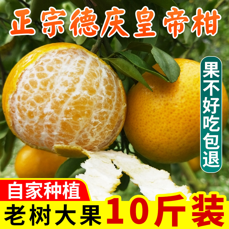 正宗德庆皇帝柑当季新鲜水果肇庆砂糖橘桔自家老树黄帝柑现摘贡柑,水产肉类/新鲜蔬果/熟食,桔子,淘宝优惠券,粉丝福利购,淘宝优惠卷