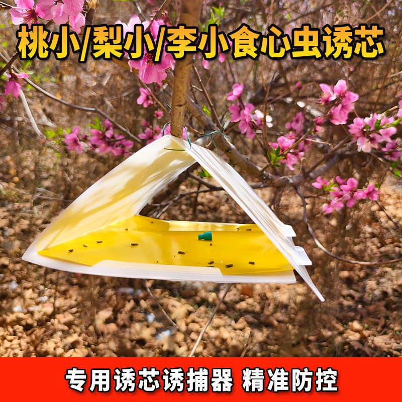桃小食心虫诱芯钻心虫梨小食心虫性信息素诱剂果园桃树梨树诱捕器