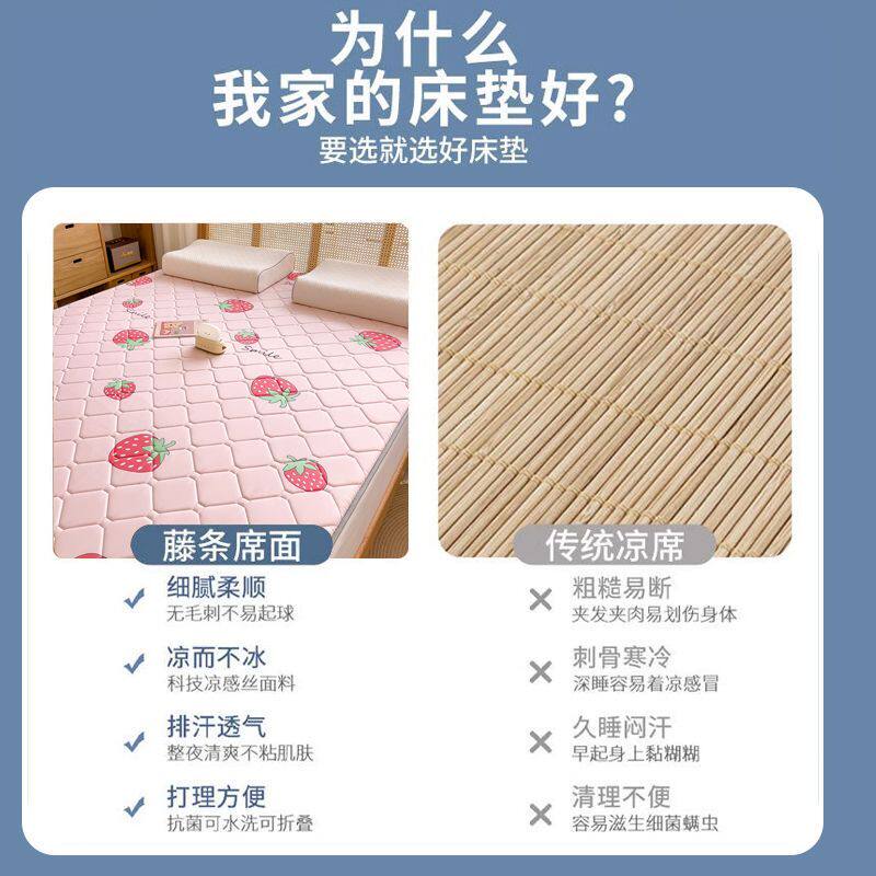 南极人床垫加厚双面软垫冬夏两用冰丝藤席学生宿舍可折叠地铺凉席