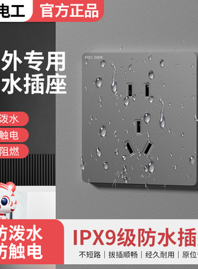 国际电工户外防水插座 IP68室外专用庭院花园防雨插座面板10A插座