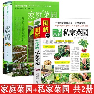 2册 家庭菜园 私家菜园 种菜栽培实用手册书籍 图解一平米 蔬菜种植技术室内外西红柿黄瓜茄子青菜辣椒草莓阳台露台阳台庭院顶楼