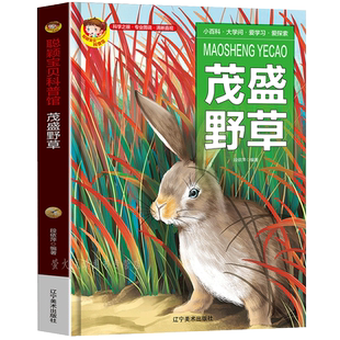 精装硬壳绘本 茂盛野草 花草植物探索百科全书 幼儿童趣味科普书籍启蒙茂盛的野草绘本故事书幼儿认知小百科生活科普百科全书 正版
