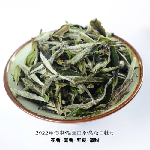 茶圈小学生2022年春口粮福鼎白茶