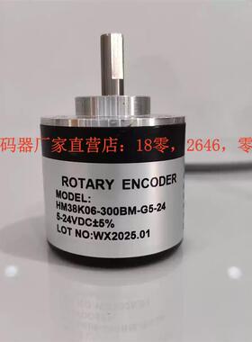 HM38K06-300BM-G5-24